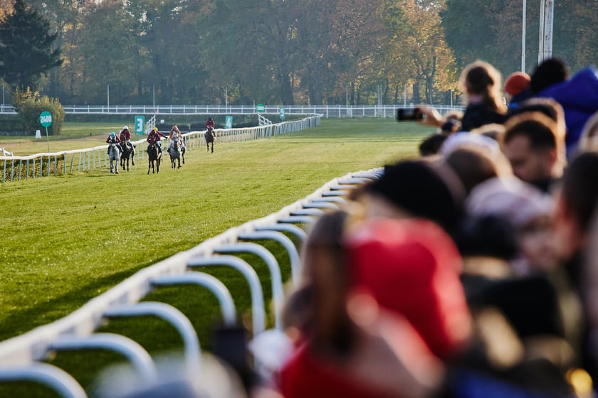 Ostatni dzień gonitw w sezonie 2023 na Partynicach
