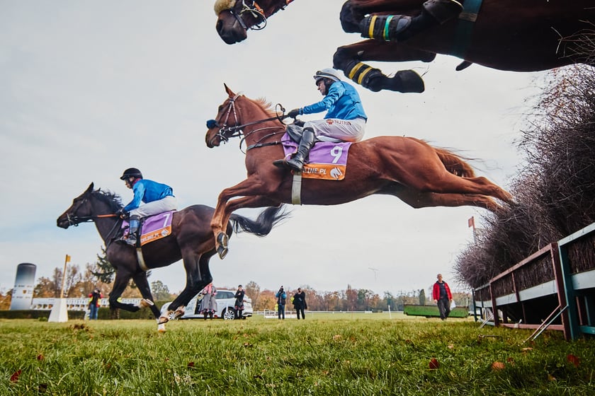 Ostatni dzień gonitw w sezonie 2023 na Partynicach