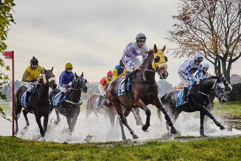 Ostatni dzień gonitw w sezonie 2023 na Partynicach