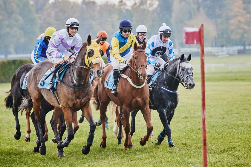 Ostatni dzień gonitw w sezonie 2023 na Partynicach