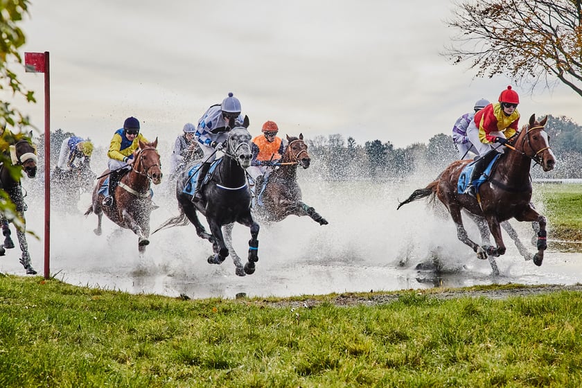 Ostatni dzień gonitw w sezonie 2023 na Partynicach