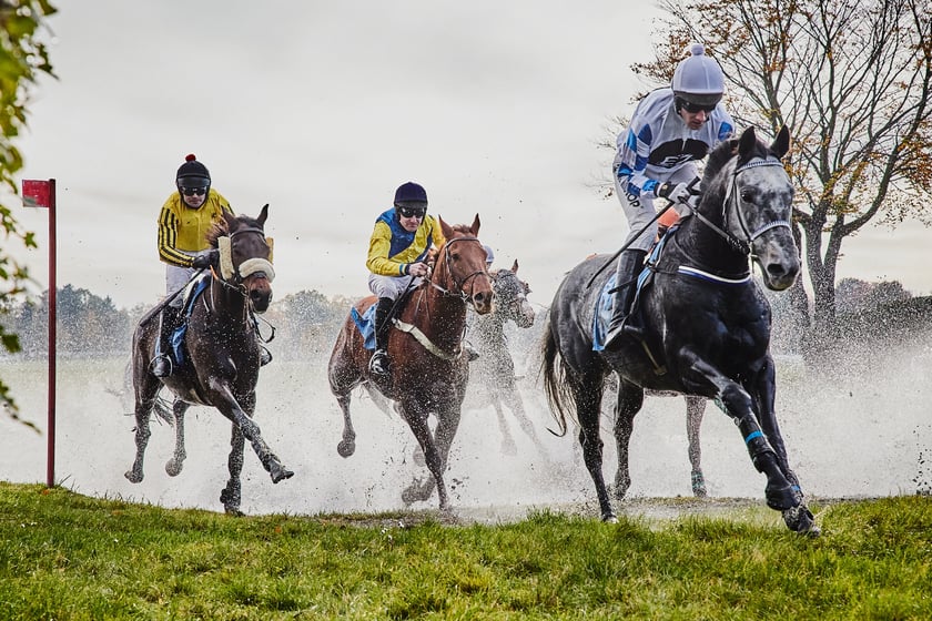 Ostatni dzień gonitw w sezonie 2023 na Partynicach