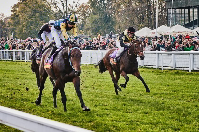 Ostatni dzień gonitw w sezonie 2023 na Partynicach