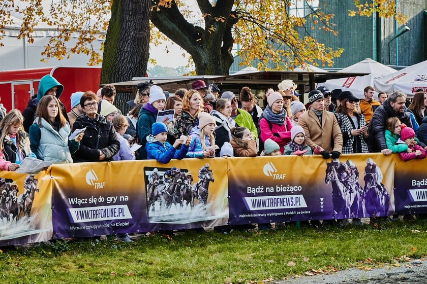 Ostatni dzień gonitw w sezonie 2023 na Partynicach