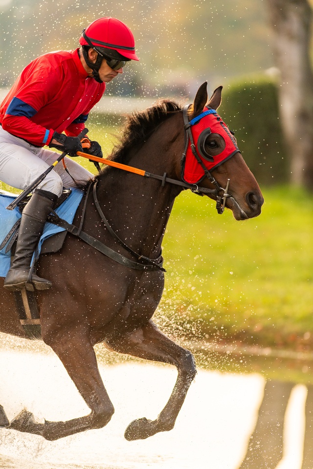 Ostatni dzień gonitw w sezonie 2023 na Partynicach