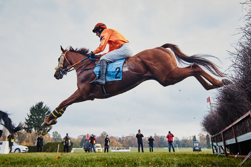 Ostatni dzień gonitw w sezonie 2023 na Partynicach