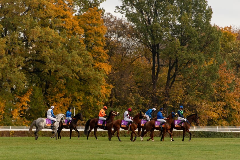 Ostatni dzień gonitw w sezonie 2023 na Partynicach