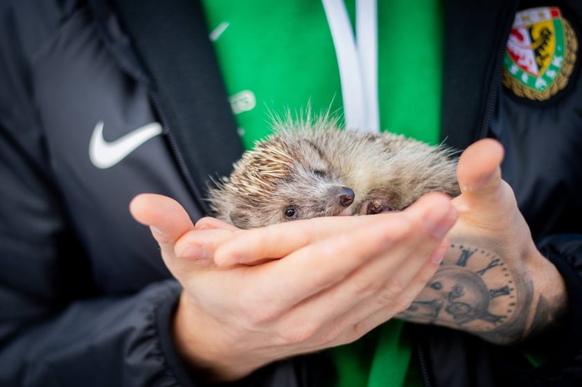 Piłkarze Śląska Wrocław odwiedzili Ekostraż
