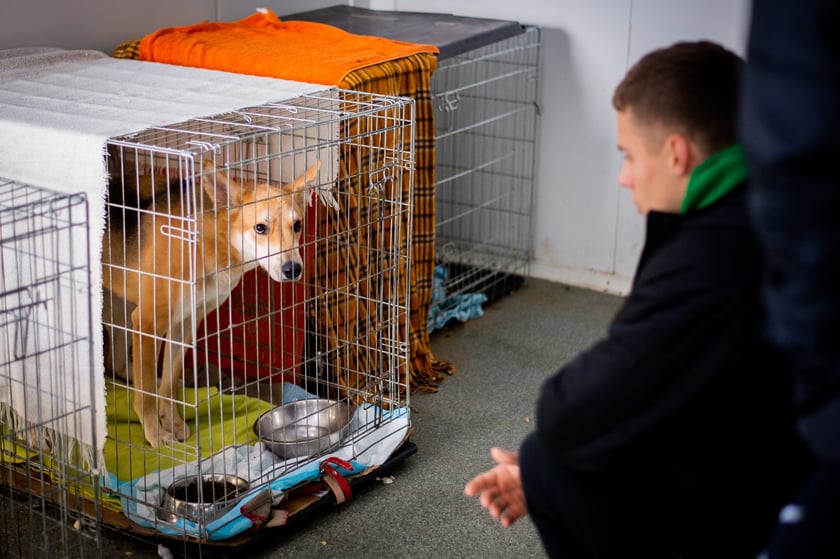 Piłkarze Śląska Wrocław odwiedzili Ekostraż