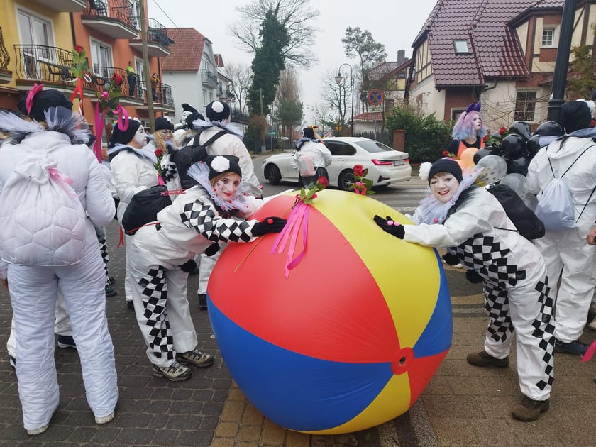 XXI Międzynarodowy Zlot Morsów w Mielnie odbył się w miniony weekend. Na zdjęciu morsy z Wrocławia
