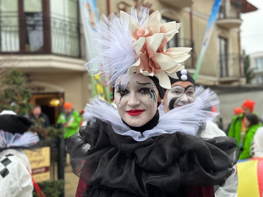 XXI Międzynarodowy Zlot Morsów w Mielnie odbył się w miniony weekend. Na zdjęciu morsy z Wrocławia