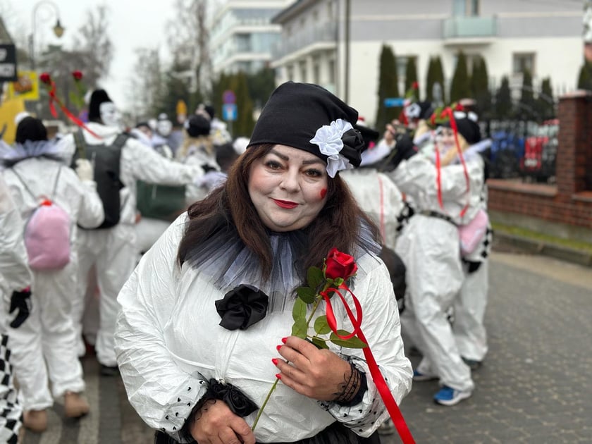 XXI Międzynarodowy Zlot Morsów w Mielnie odbył się w miniony weekend. Na zdjęciu morsy z Wrocławia