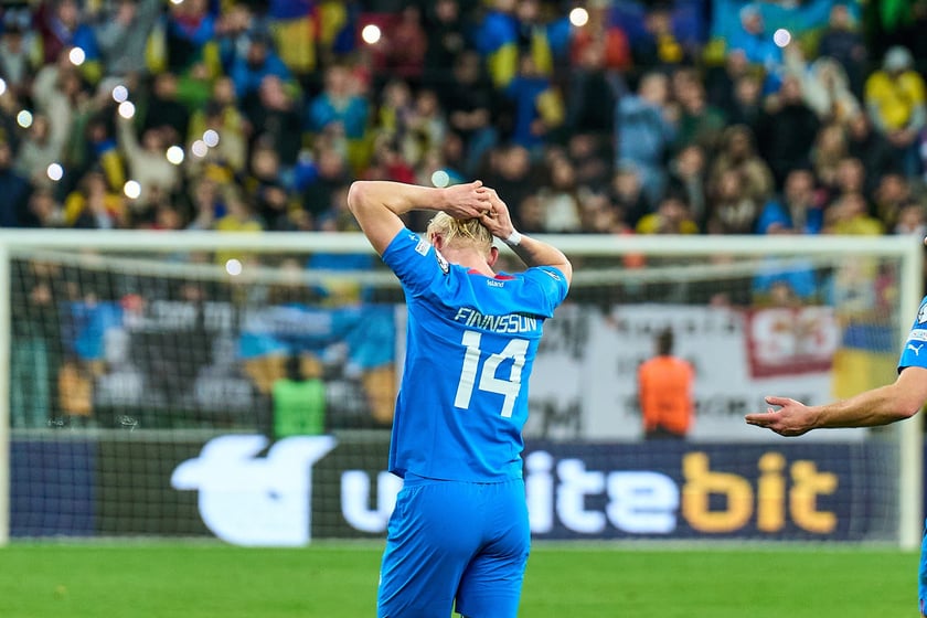 Ukraina - Islandia na Tarczyński Arenie - zdjęcia z meczu oraz kibiców