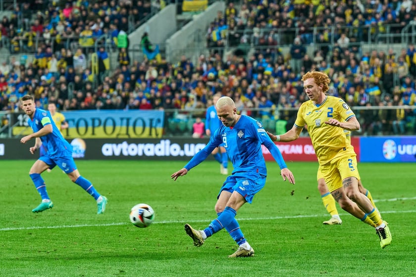 Ukraina - Islandia na Tarczyński Arenie - zdjęcia z meczu oraz kibiców