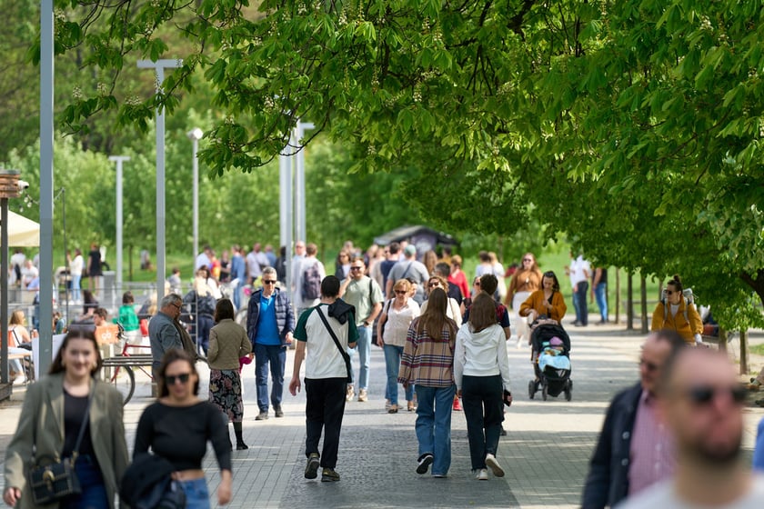 Sezon żeglugowy na Odrze we Wrocławiu