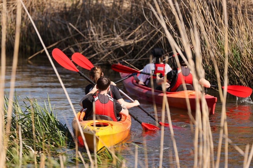 Spływ kajakowy na rozpoczęcie Majówki 2024 we Wrocławiu