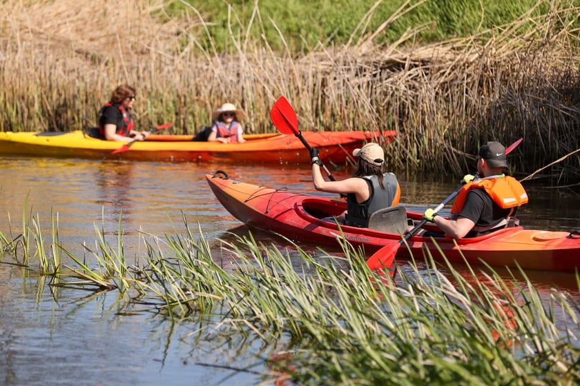 Spływ kajakowy na rozpoczęcie Majówki 2024 we Wrocławiu