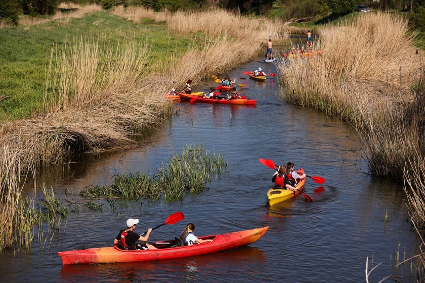 Spływ kajakowy na rozpoczęcie Majówki 2024 we Wrocławiu
