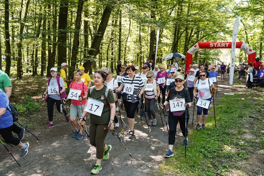 Uczestnicy mistrzostw w joggingu i nordic walking  w parku Zachodnim, 15 czerwca 2024 r.