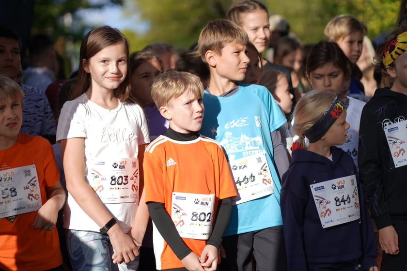 Wild Run 2023