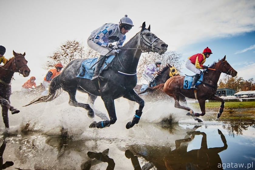 Finał sezonu wyścig&oacute;w konnych na Partyniach. Zdjęcie archiwalne&nbsp;