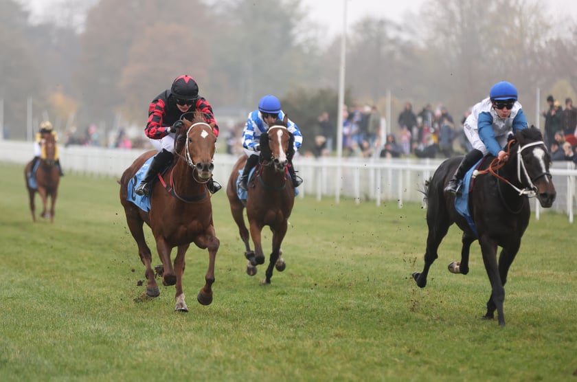 Finał sezonu wyścigów konnych 2024 na Partynicach