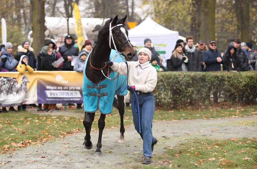 Finał sezonu wyścigów konnych 2024 na Partynicach