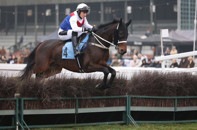 Finał sezonu wyścigów konnych 2024 na Partynicach