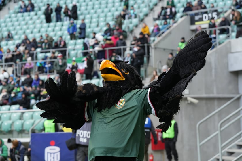 Śląsk Wrocław vs Widzew Łódź