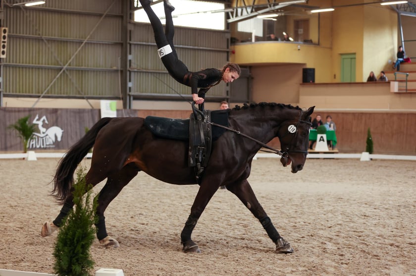 Ogólnopolskie zawody w woltyżerce na Partynicach (12 kwietnia 2025)