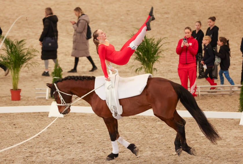 Ogólnopolskie zawody w woltyżerce na Partynicach (12 kwietnia 2025)