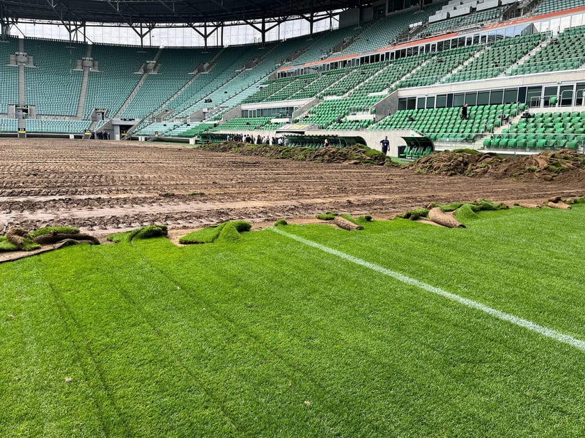 Wymiana murawy na stadionie Tarczyński Arena we Wrocławiu