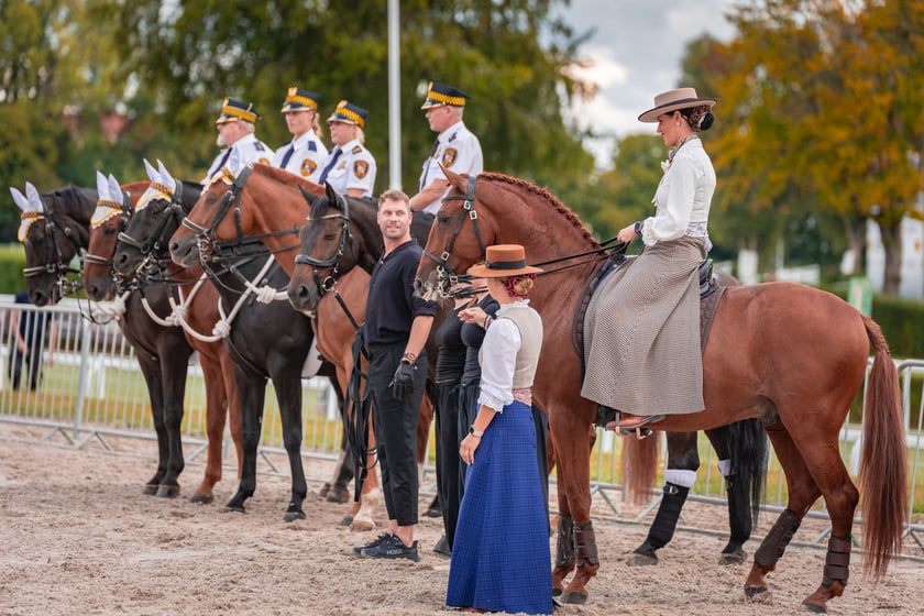 Wielka Wrocławska i Wielka Partynicka oraz 6 innych gonitw na Torze Partynice we Wrocławiu - 7 września 2025