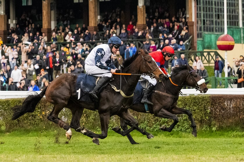 Ostatni dzień wyścigowy 11 listopada na wrocławskich Partynicach