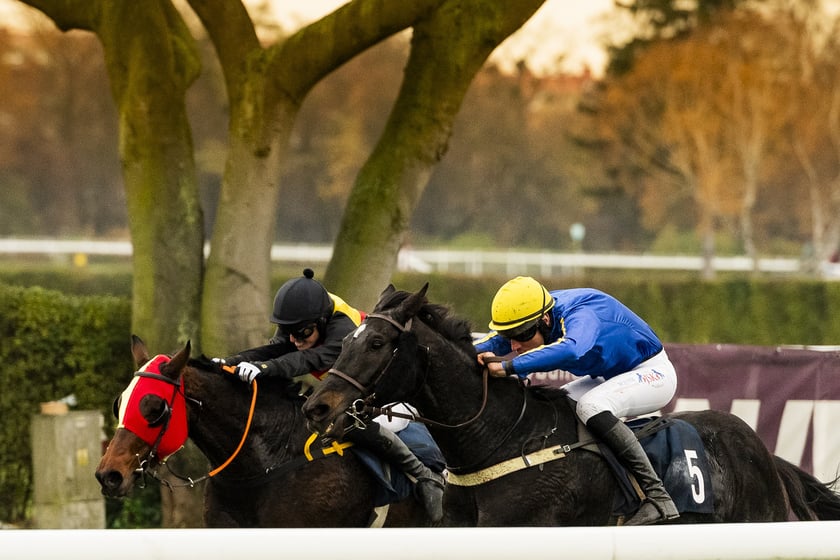 Ostatni dzień wyścigowy 11 listopada na wrocławskich Partynicach