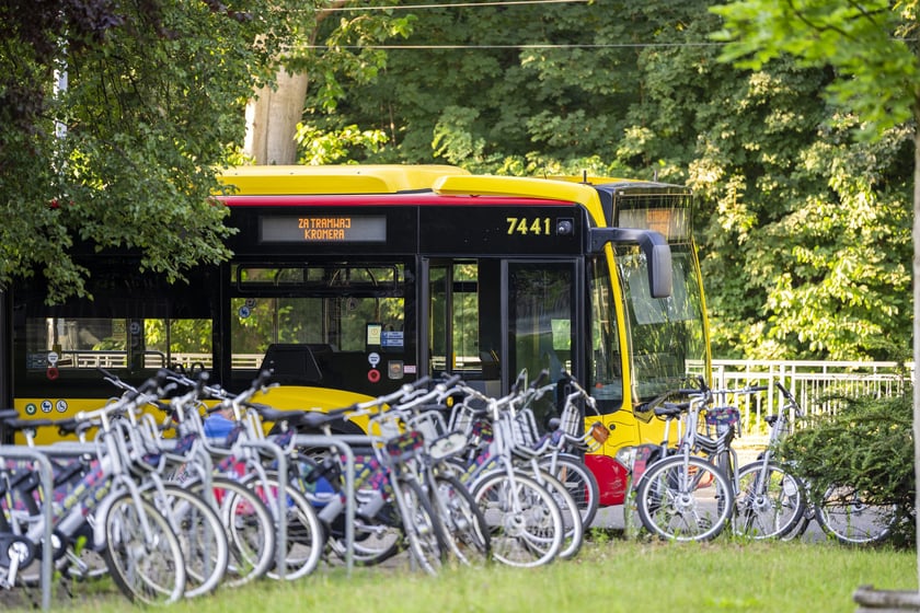 Powiększ obraz: Usuwanie drzewa, które przewróciło się na torowisko i trakcję tramwajową na ul. Kwidzyńskiej - 24 lipca 2026 r.