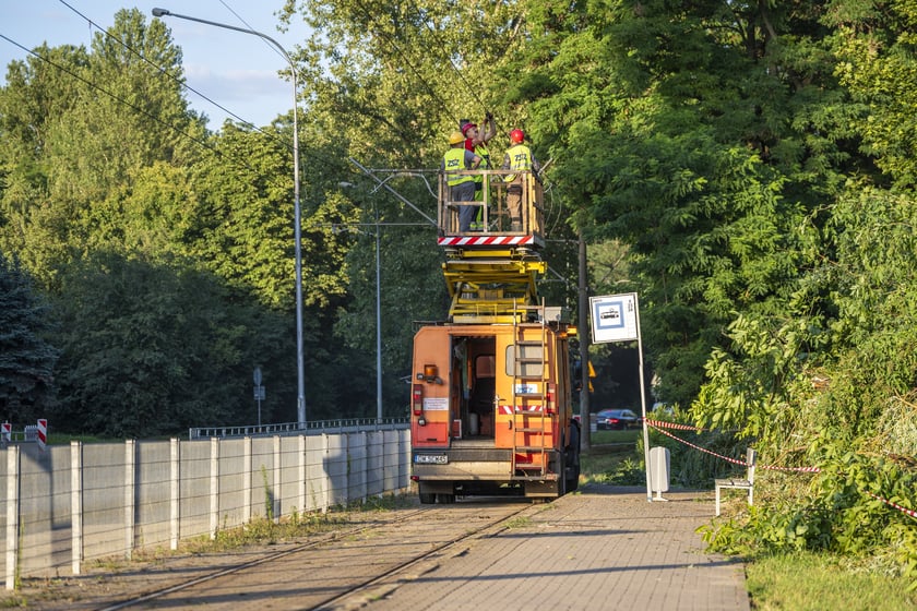 Powiększ obraz: Usuwanie drzewa, które przewróciło się na torowisko i trakcję tramwajową na ul. Kwidzyńskiej - 24 lipca 2026 r.