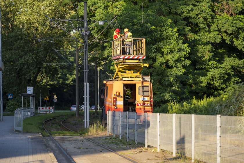 Powiększ obraz: Usuwanie drzewa, które przewróciło się na torowisko i trakcję tramwajową na ul. Kwidzyńskiej - 24 lipca 2026 r.