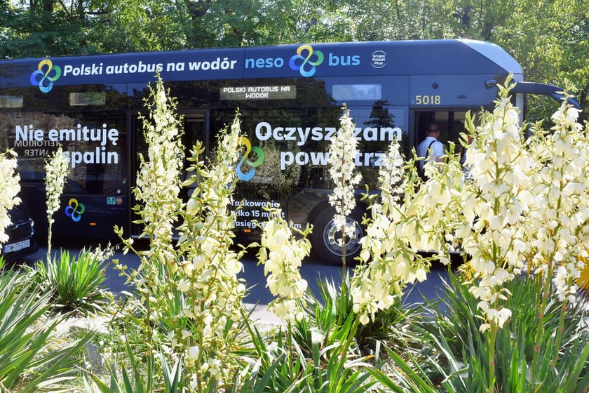Autobus wodorowy NesoBus jest testowany przez MPK we Wrocławiu