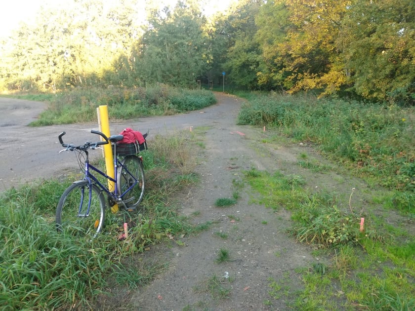 Nowy odcinek Promenady Krzyckiej powstanie w okolicy cmentarza Ducha Świętego na Tarnogaju.
