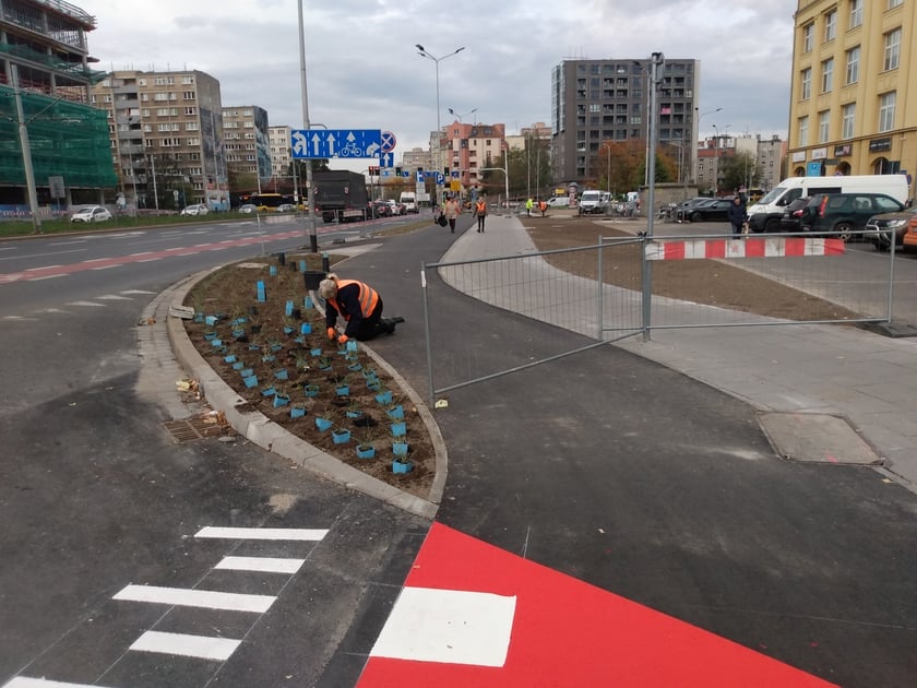 Droga rowerowa od wyjazdu spod przejścia podziemnego pod pl. Jana Pawła II w stronę ul. Rybackiej