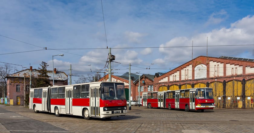 Zabytkowe wozy są gotowe do startu Wrocławskich Linii Turystycznych.