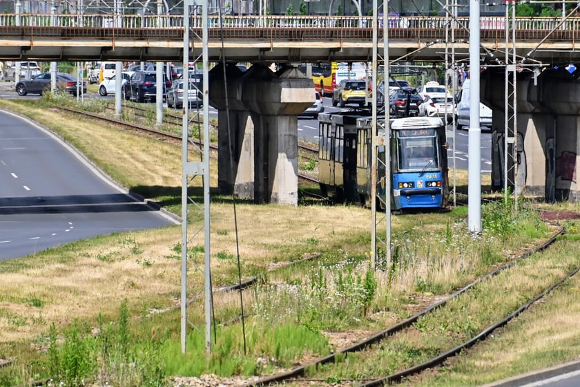 Najważniejszym elementem remontu torowiska w ul. Legnickiej jest odcinek od ul. Zachodniej do Niedźwiedziej.