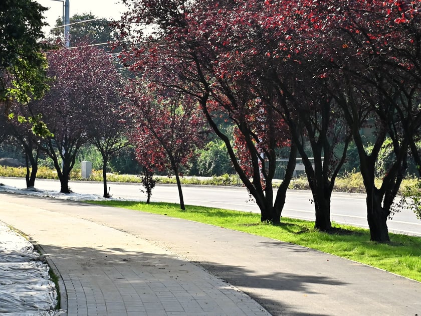 7,2 km
nowych chodnik&oacute;w
Wystarczy, aby z Rynku dojść do Auchan na Bielanach.
_____________
10,1 km
sieci wodno-kanalizacyjnych