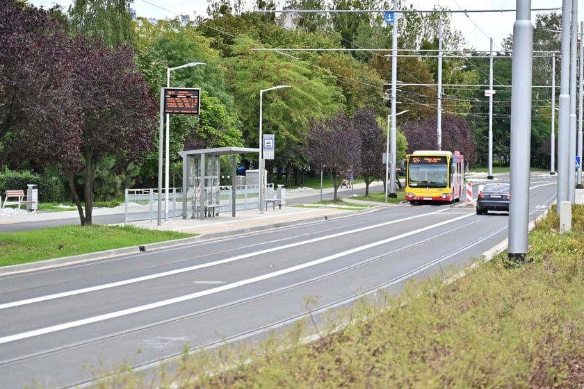 Rogowska (ogrody działkowe).