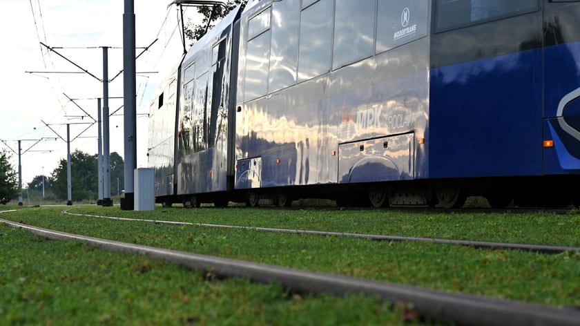 Torowisko wzdłuż ul. Legnickiej z każdym dniem staje się bardziej zielone. Kładzione są maty rozchodnikowe.