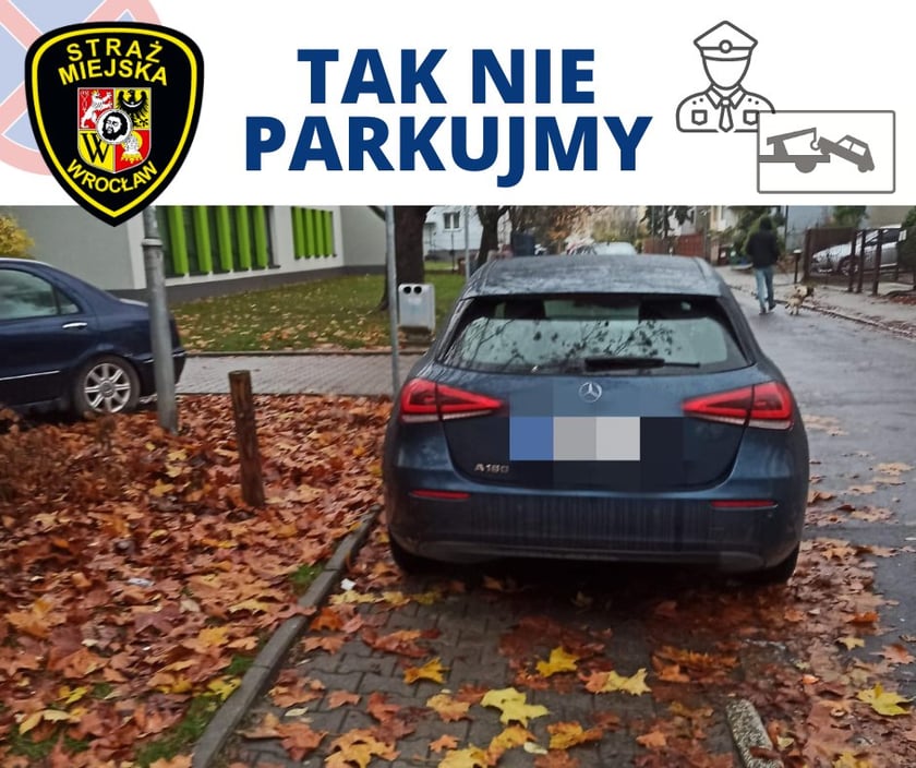 "Mistrzowie parkowania" z Wrocławia