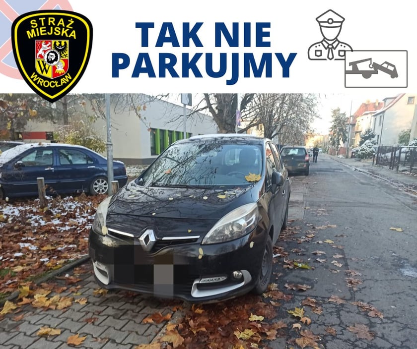 "Mistrzowie parkowania" z Wrocławia
