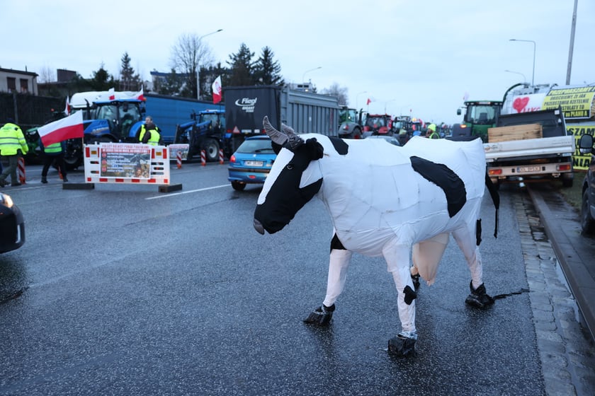 Strajk rolników - Wrocław - 12 lutego - al. Jana III Sobieskiego