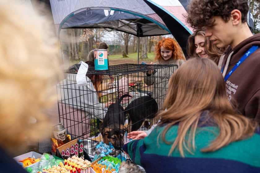 Piknik na Swojczycach - sobota 23 marca